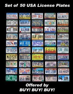 50 REAL UNITED STATES LICENSE PLATES SET USA NUMBER TAG LOT DECOR BEST DEAL US   Ropes  