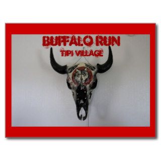 Native American Buffalo Run Tipi Village Postcard