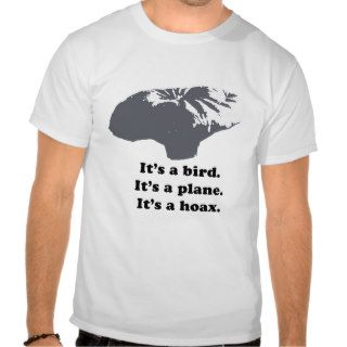 It's a bird. It's a plane. It's a Hoax Tshirts