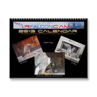 2013 Calendar   Main Cam Pictures