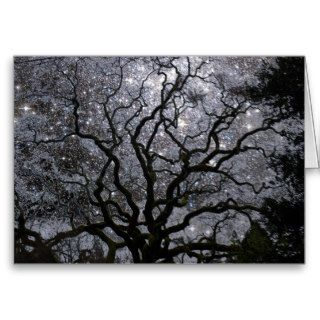 Cosmic Tree   Star Cluster Greeting Card
