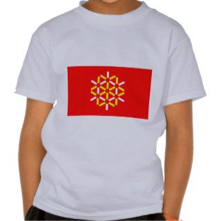 Languedoc Roussillon, France flag T Shirts