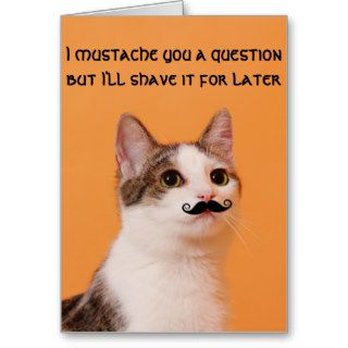 I mustache a question funny cat greeting card
