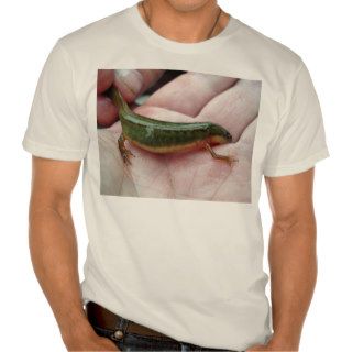 Striped newt, Georgia T shirts