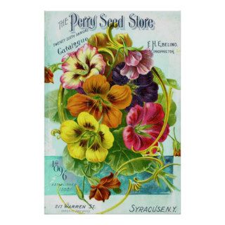 Vintage Seed Catalog, Perry Seeds, Pansies Posters