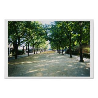 tree lined path posters