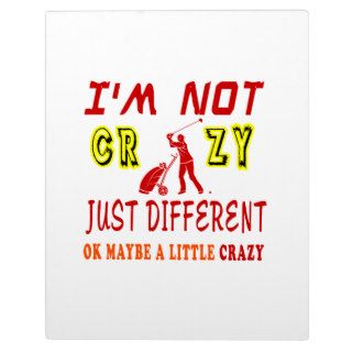 A Little Crazy for Golf Display Plaque