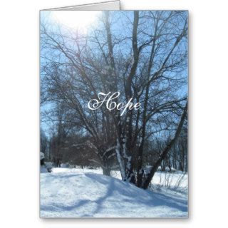 Sunshine after the Storm Greeting Card