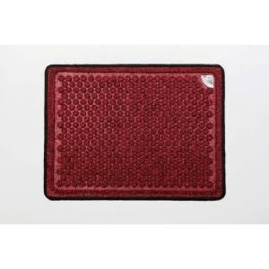 Dr. Doormat 18 in. x 24 in. Autumn Red Antimicrobial Treated Door Mat DRDINT1824AR