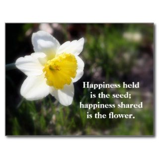 Daffodil Happiness Photography & Quote Postcard