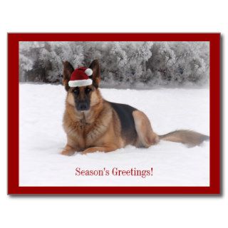 Holiday German Shepherd Post Cards