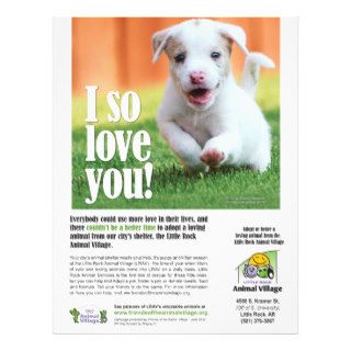 Adoption Poster   Little Rock Animal Village Flyer Design