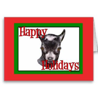 Pygmy Goat Holiday Christmas Cards