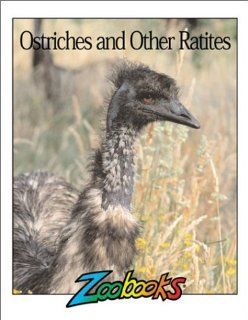 Ostriches and Other Ratites (Zoobooks Series) Ann Elwood 9781888153576 Books