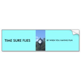 TIME SURE FLIES, BY WHEN YOU HAVING FUN BUMPER STICKERS