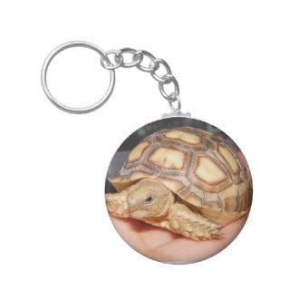 Sulcata Tortoise Key Chain