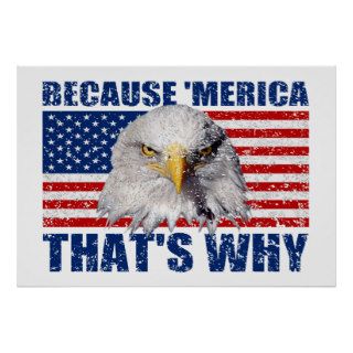 BECAUSE 'MERICA THAT'S WHY US Flag Poster (large)