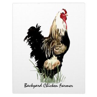 Backyard Chicken Farmer with Rooster Design Display Plaques