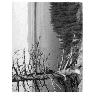 Dead tree, Jenny Lake, Grand Teton, Wyoming Jigsaw Puzzles