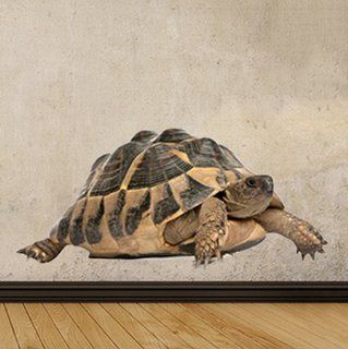 WSD162   große Griechische Landschildkröte fotorealistische Wandaufkleber. Jungle Wandtattoos, Tierbild Abziehbild. schälen und Stick Wandtattoos von Art Fever TM UK Küche & Haushalt