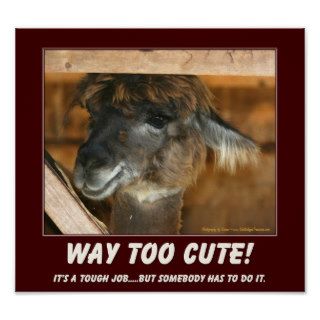 Way Too Cute Llama Funny Animal Print