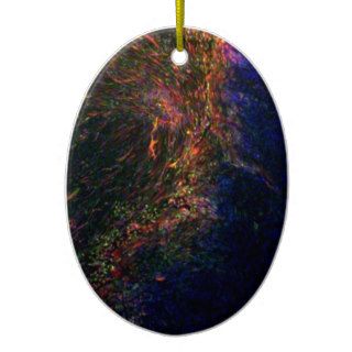 Differentiated pluripotent stem cells christmas ornament