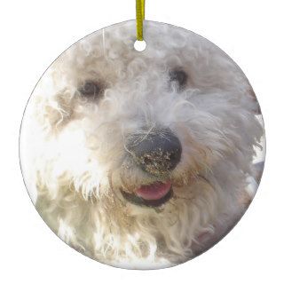 Bichon Frise Dog Ornament