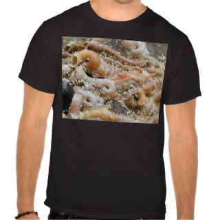 Tube Worm Shells Ocean T Shirt