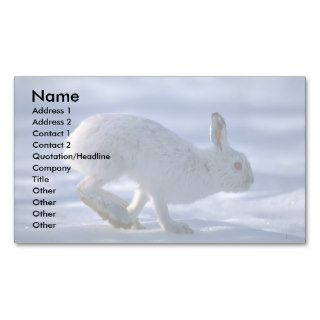 Varying Hare/Snowshoe Rabbit running across open s Business Card Template