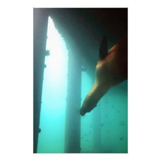 Sea lion swimming underwater below pier stationery design