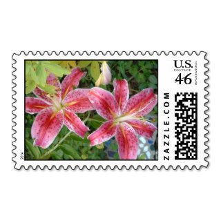 Stargazer Lilies Stamps