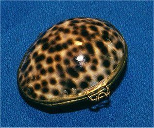Sea Shell Trinket Box Bejeweled Collectible Clamshell Jewelry Keepsake Pill Box Health & Personal Care