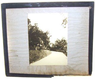 Tropical Road or Canal Photo With Palm Trees Magic Lantern Slide 