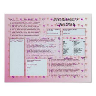 Pregnancy Tracker Poster   Pink