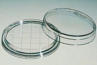 BD Falcon Rodac Plate, 65 x 15mm Rodac Plates Science Lab Petri Dishes