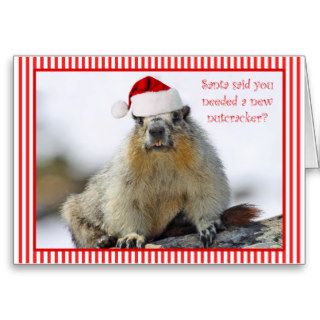 Nutcracker Squirrel Christmas Card Humor