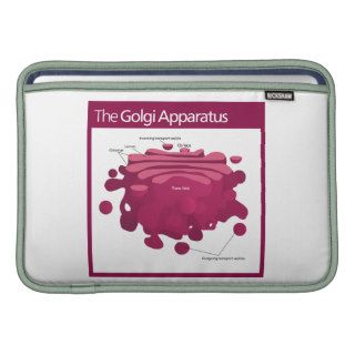 The Golgi apparatus Golgi complex Diagram MacBook Sleeves