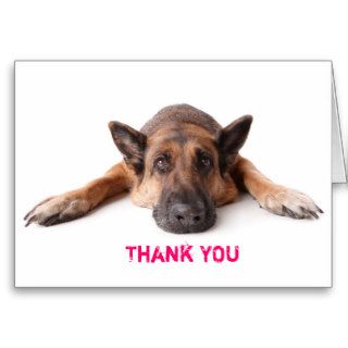 Thank You Card German Shepherd Dog