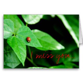 Little Ladybug, I miss youCards
