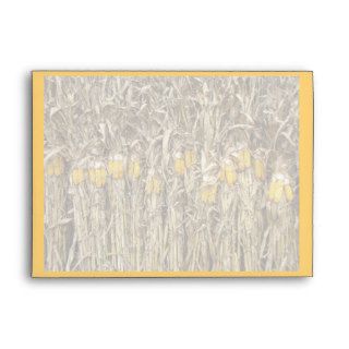 Autumn Dried Corn Stalk Decorations Envelopes
