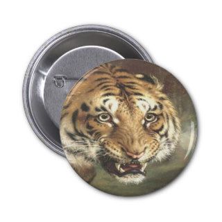 Bengal Tiger King and controller Button
