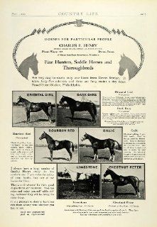 1929 Ad Hunters Saddle Horses Thoroughbreds Charles F. Henry Domesticated Animal   Original Print Ad  