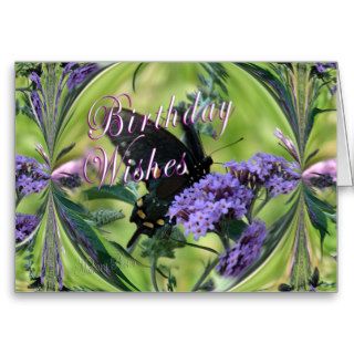 Butterfly Fantasy Cards