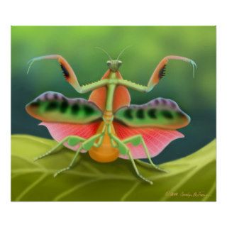 Colorful Praying Mantis Bug Poster