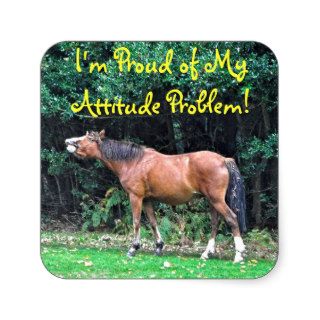 Funny Bay Pony Bad Attitude Horse Photo Square Stickers