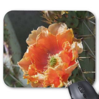 Orange Prickly Pear Flower Mouse Pad