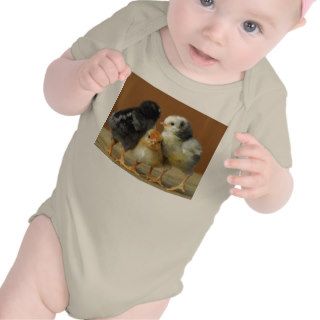 Three Baby Chicken's Children's T Shirts/Creepers