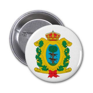 Durango, Mexico flag Button