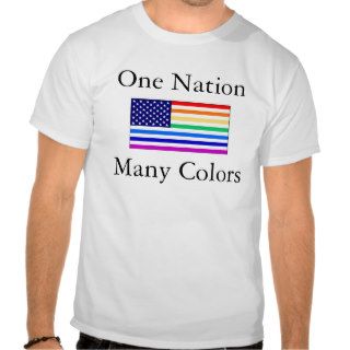 One Nation, Many Colors Tee Shirt