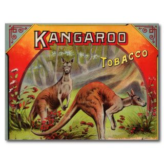 Kangaroo Tobacco Label Art Retro Vintage Kitsch Postcard